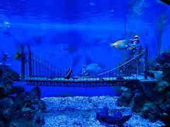 -太平洋海底世界