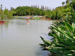 -上海长兴岛郊野公园