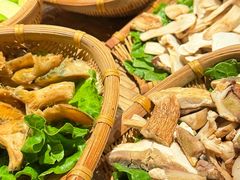 -滇野云南野生菌餐厅(陕西南路店)