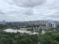 -飞凤山奥体公园