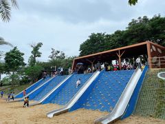 -宝安西湾红树林湿地公园