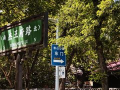 -香山公园