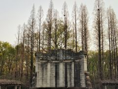 -音乐台