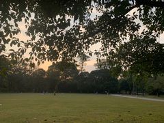 -中国科学院华南植物园