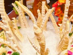 -老版火锅.12年西安排队王(沣峪口店)