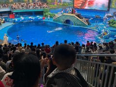 -海合安成都极地海洋公园