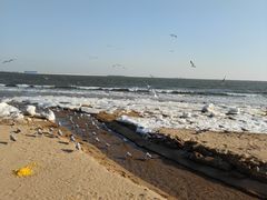 -金梦海湾浴场