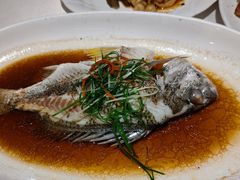 -新海利海鲜城·41年珠海老字号(夏湾店)