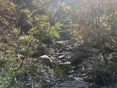 -云岫谷游猎自然风景区