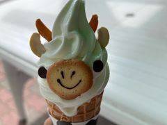 -神户市立六甲山牧场