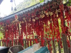 -黔灵山公园