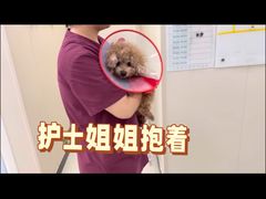 -美联众合动物医院·24h京西诊疗中心