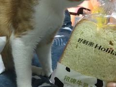 -好利来(永安道店)
