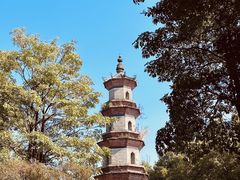 -阿妹小海鲜(下角店)