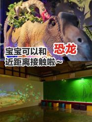 -恐龙探索乐园(磁器口店)