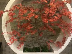 -金狮麟·新豫菜(金码大厦店)