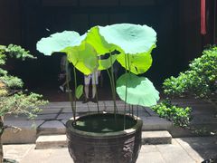 -许驸马府