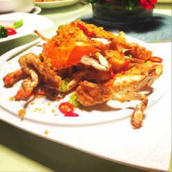 -上海金桥红枫万豪酒店·宴会厅