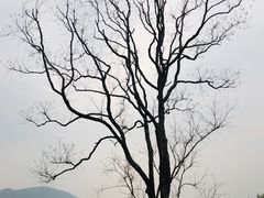 -塔川景区