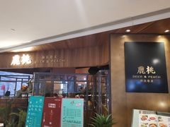 -大树餐厅(益田假日店)