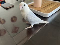-博特宠物医院24h犬猫全科.骨科·异宠