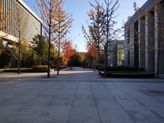 -中央财经大学沙河校区-图书馆