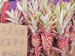 -天河体育中心