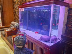 -老江南春·中国龙菜(衡山路店)