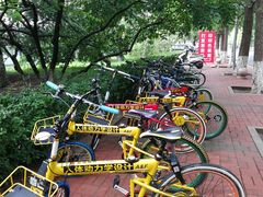 -北京化工大学(东校区)