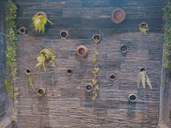 -一只烧鸡公(解放碑店)