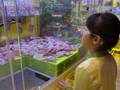 -汤姆熊欢乐世界(龙之梦店)