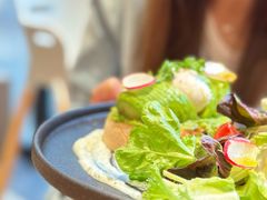 -Elephant Grounds(STARSTREET)