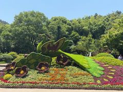 -穹窿山景区