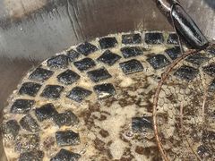 -董顺桃老长沙臭豆腐(步行街店)