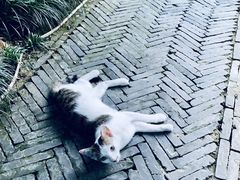 -苏州文旅花间堂·探花府酒店