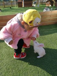 -萌宠亲子动物乐园(槐房万达店)