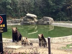 -深圳野生动物园