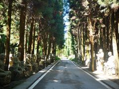 -武陵山森林公园