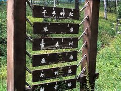 -哈乌尔河