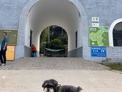 -十渡孤山寨风景区