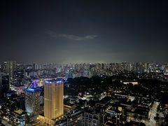 -新加坡瑞士史丹福酒店