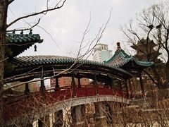 -迎泽公园
