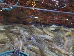 -聚盛源蒸汽海鲜火锅烤肉自助(巨川金海岸购物广场店)