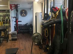 -温鉴良实用咏春拳
