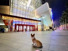-壹海城ONE MALL