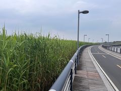 -阳澄湖半岛旅游度假区