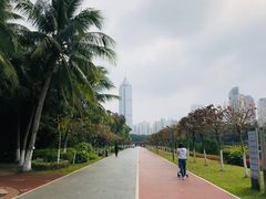 -万绿园