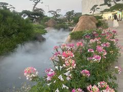 -罗红摄影艺术馆