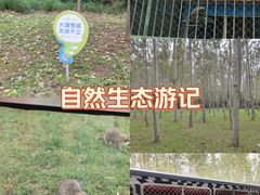 -秦皇岛野生动物园