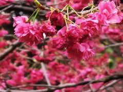 -乌山风景区